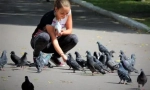 Proč nemůže krmit holubi na ulici